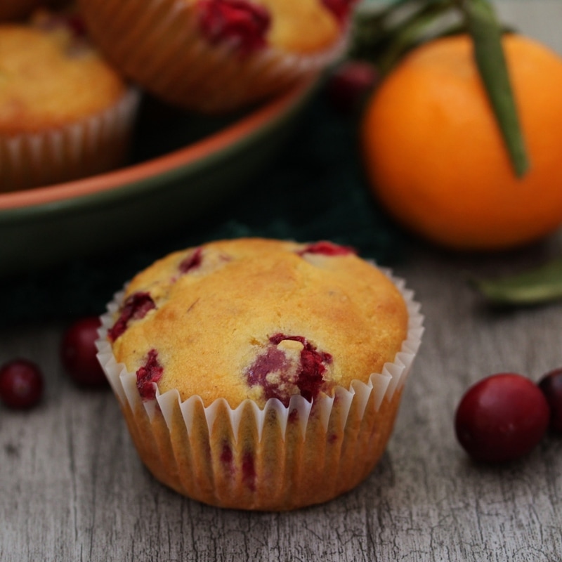 A Zesty Cranberry Orange Muffin ready for eating.
