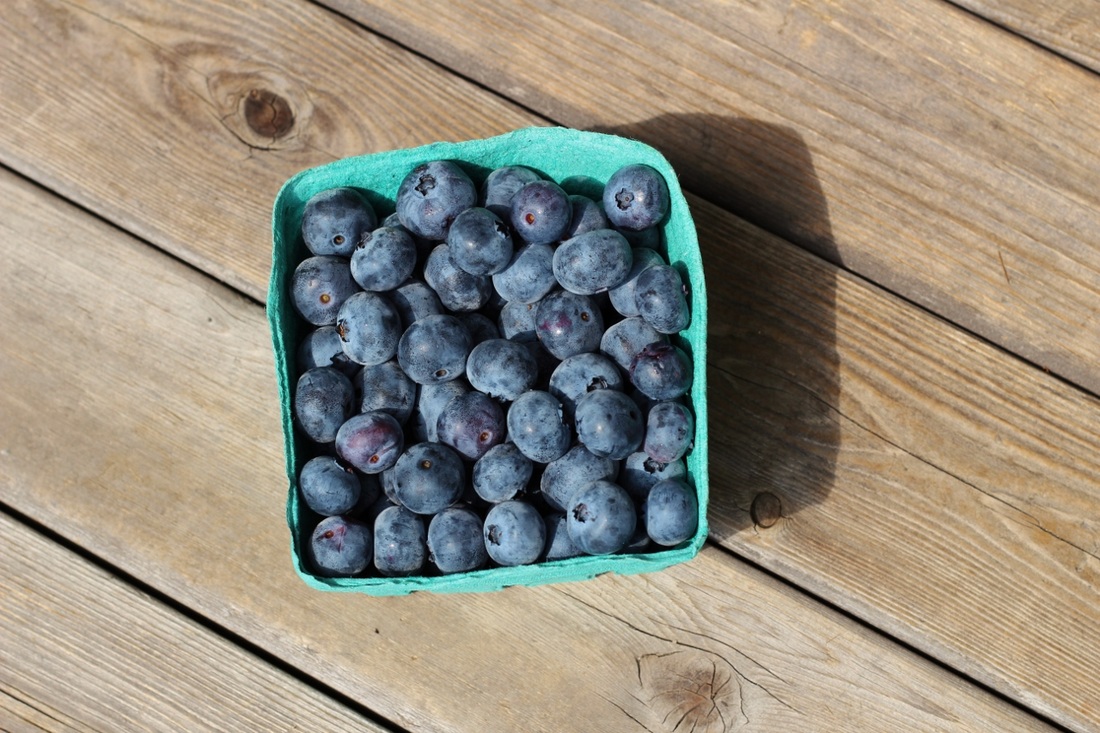 A box of freshly picked blueberries. 